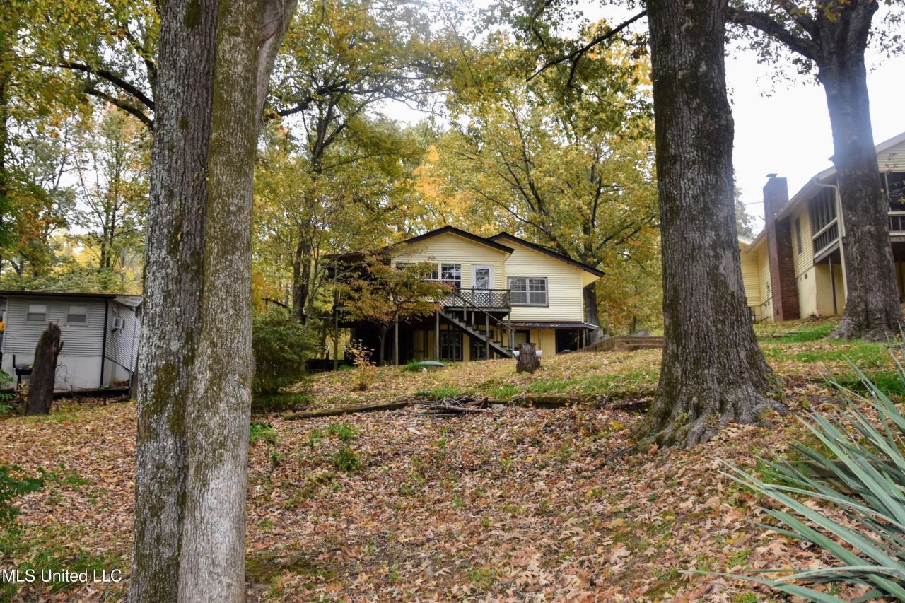 10883 Loch Venarcher Cove, Hernando, MS 38632 Main Photo