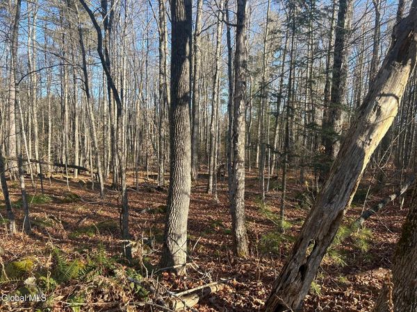 3171 NY-8, Johnsburg, NY 12843