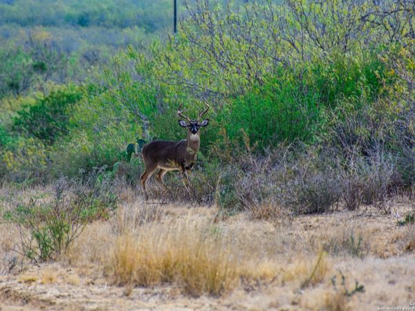 000 Easement Road, Laredo, TX 78401