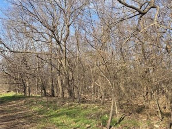 10537 Roundhill Road, Lincoln, AR 72744