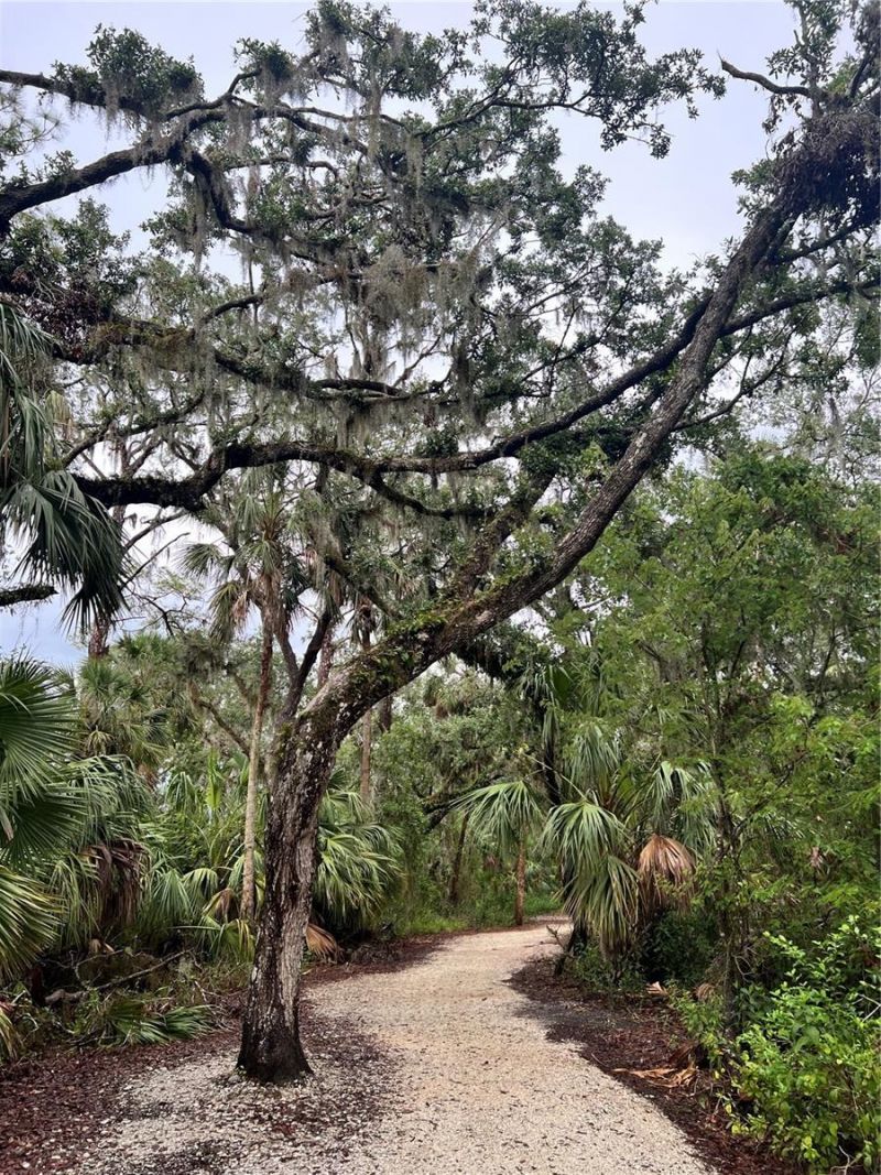 6226 Blueflower Court, Lakewood Ranch, FL 34202 Photo