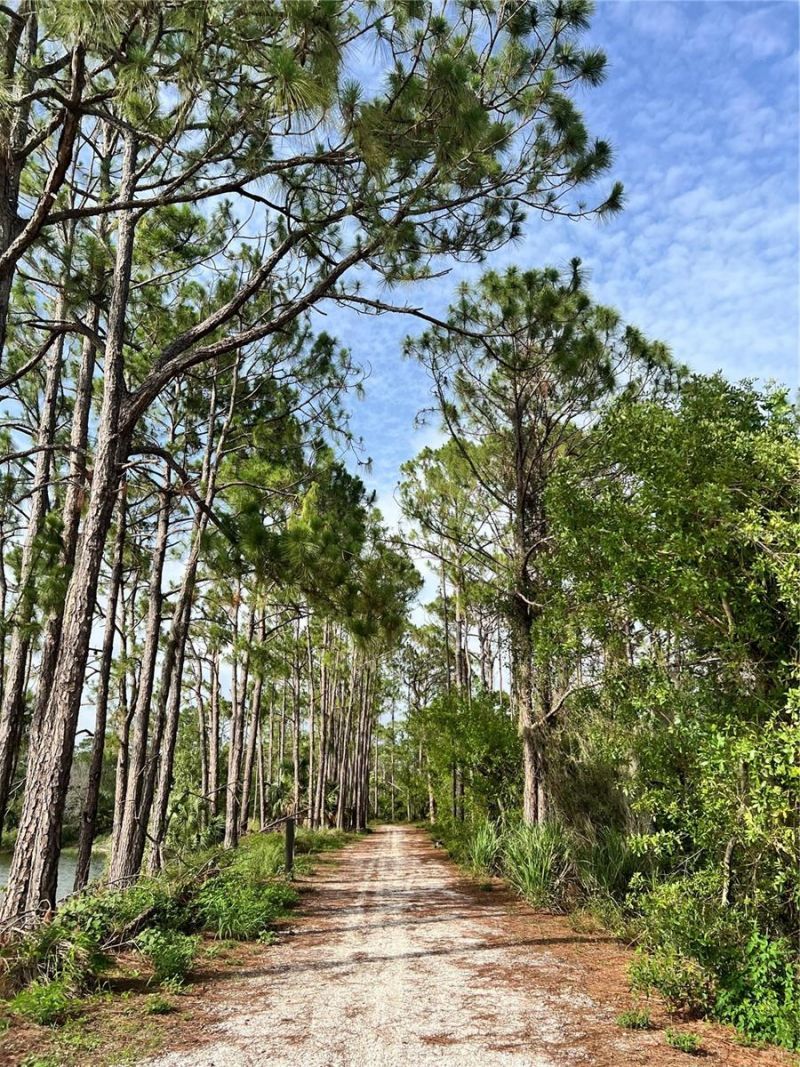 6226 Blueflower Court, Lakewood Ranch, FL 34202 Photo