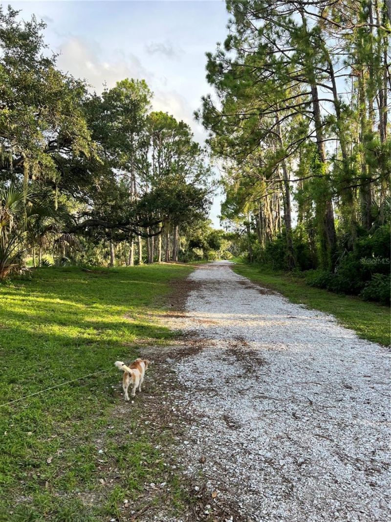 6226 Blueflower Court, Lakewood Ranch, FL 34202 Photo