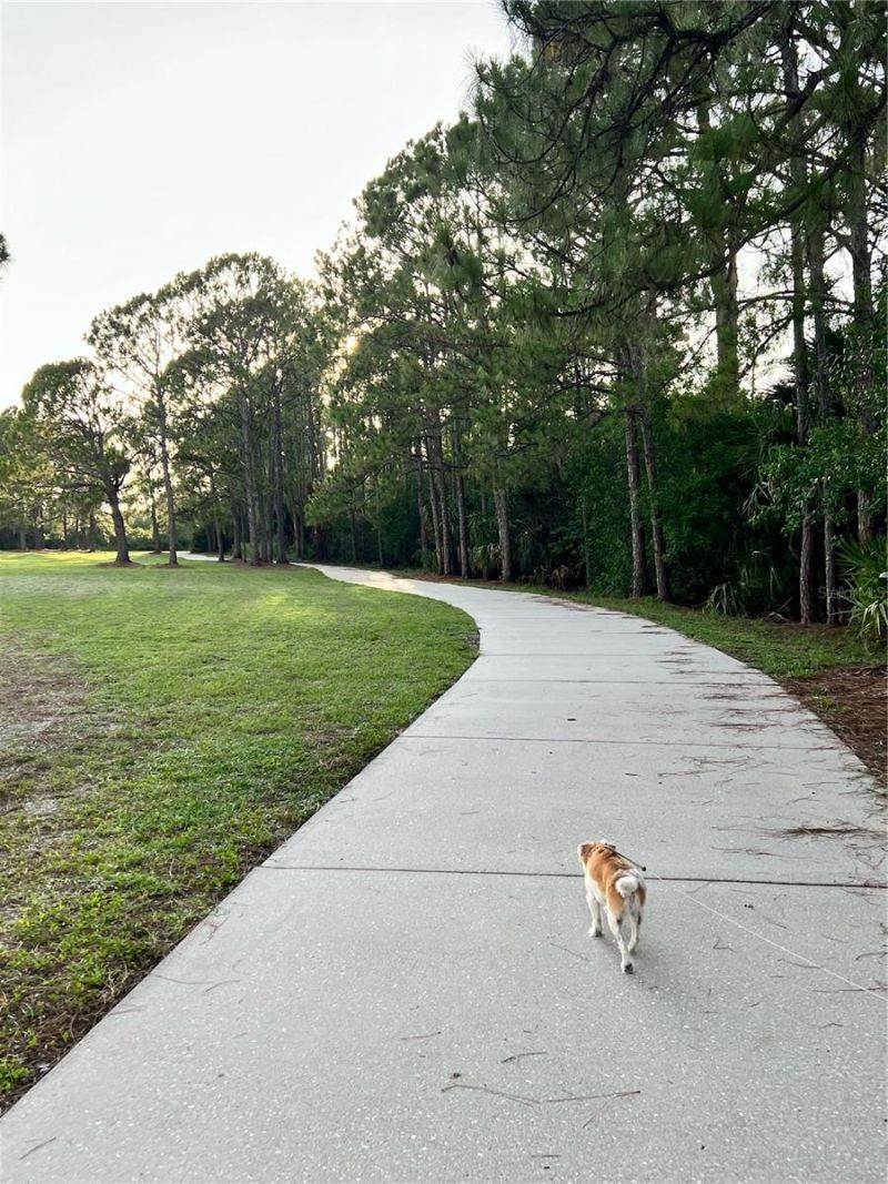 6226 Blueflower Court, Lakewood Ranch, FL 34202 Photo