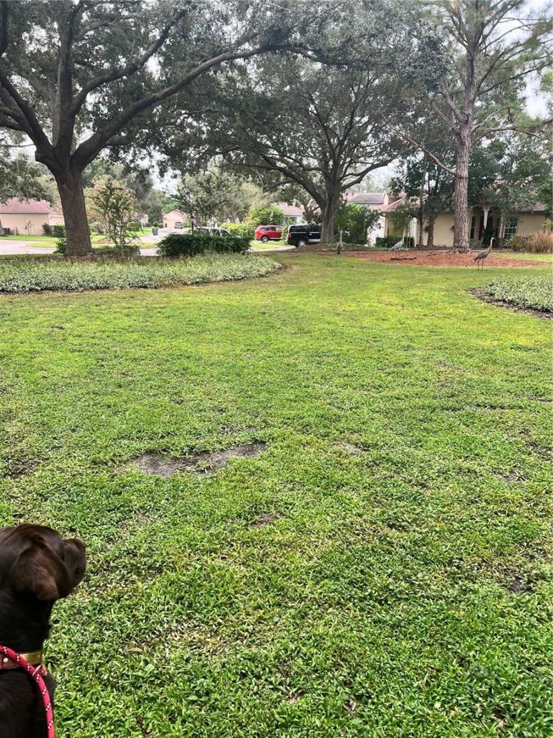 6226 Blueflower Court, Lakewood Ranch, FL 34202 Photo