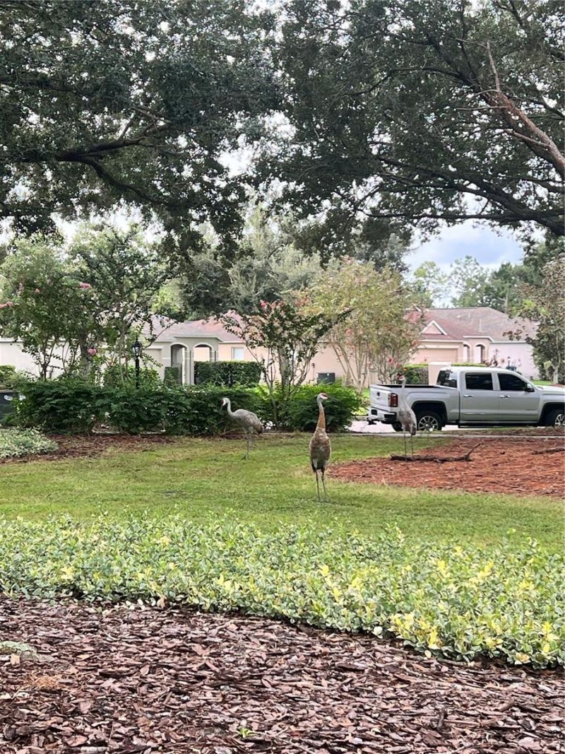 6226 Blueflower Court, Lakewood Ranch, FL 34202 Photo