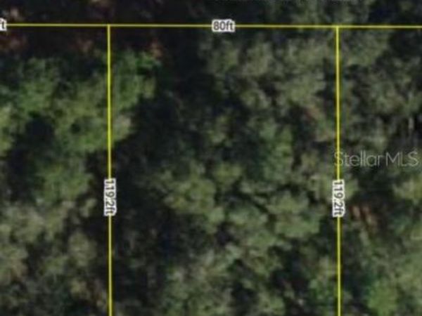 0000 SE 97TH PLACE, OCKLAWAHA, FL 32179