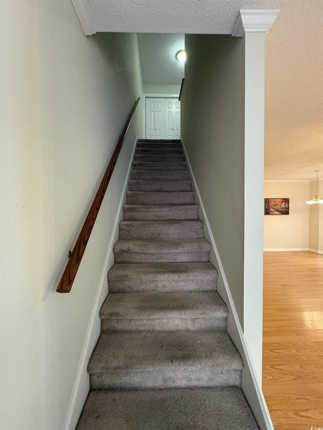 1509 Watson Ave. Photo 9