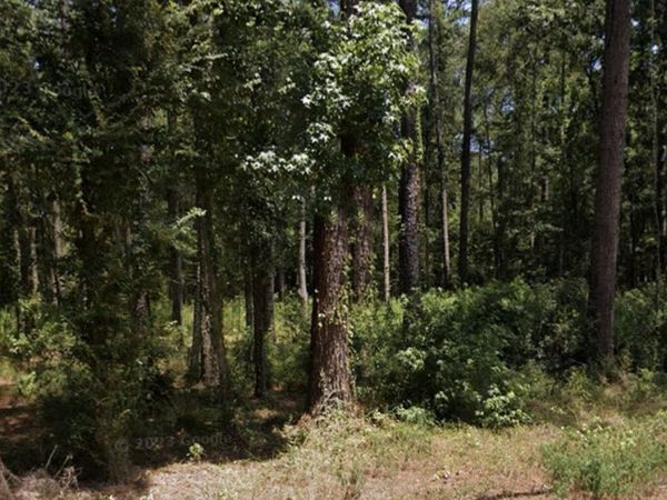 37153 Caraway Rd, Denham Springs, LA 70706