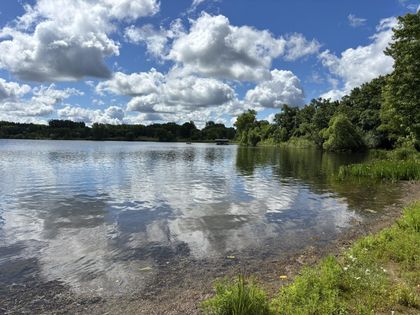 12521 Homestead Drive Hugo, MN 55110