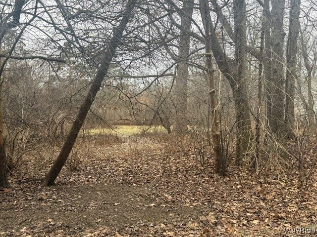 Vl James Place, Orchard Park, NY 14127 Main Photo