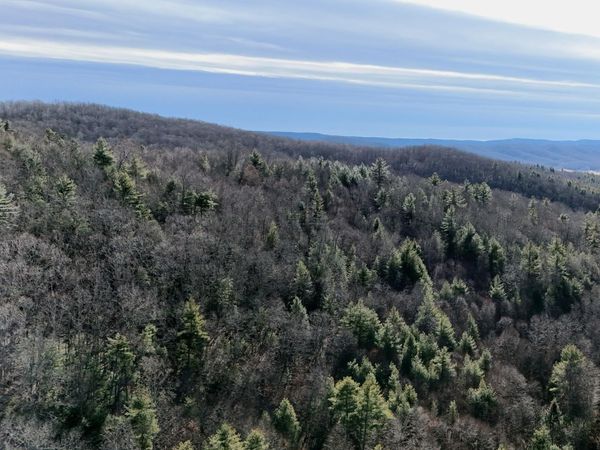 6290 Hollywood Glace Rd., Union, WV 24941