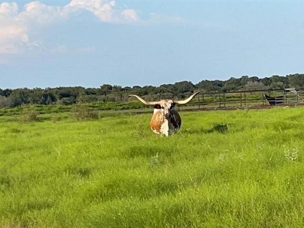 4565 County Road 140-A, Stephenville, TX 76401