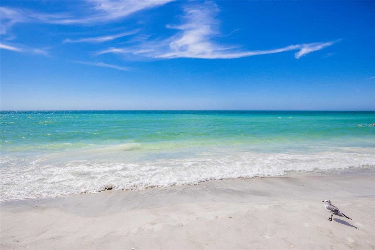 130 N Blvd Of The Presidents, Sarasota, FL 34236 Photo