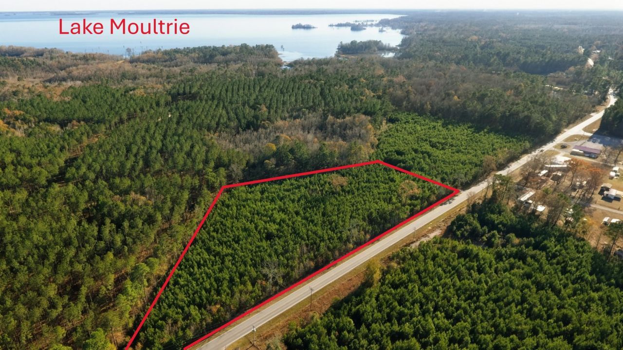 0000 Ranger Drive Photo 5