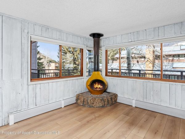 700 S Monarch Street, Unit 207, Aspen, CO 81611