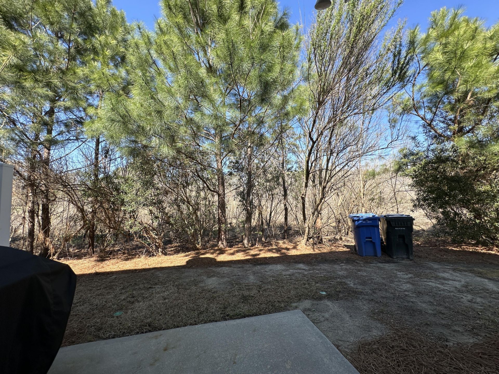 8754 Pasture Court Photo 10