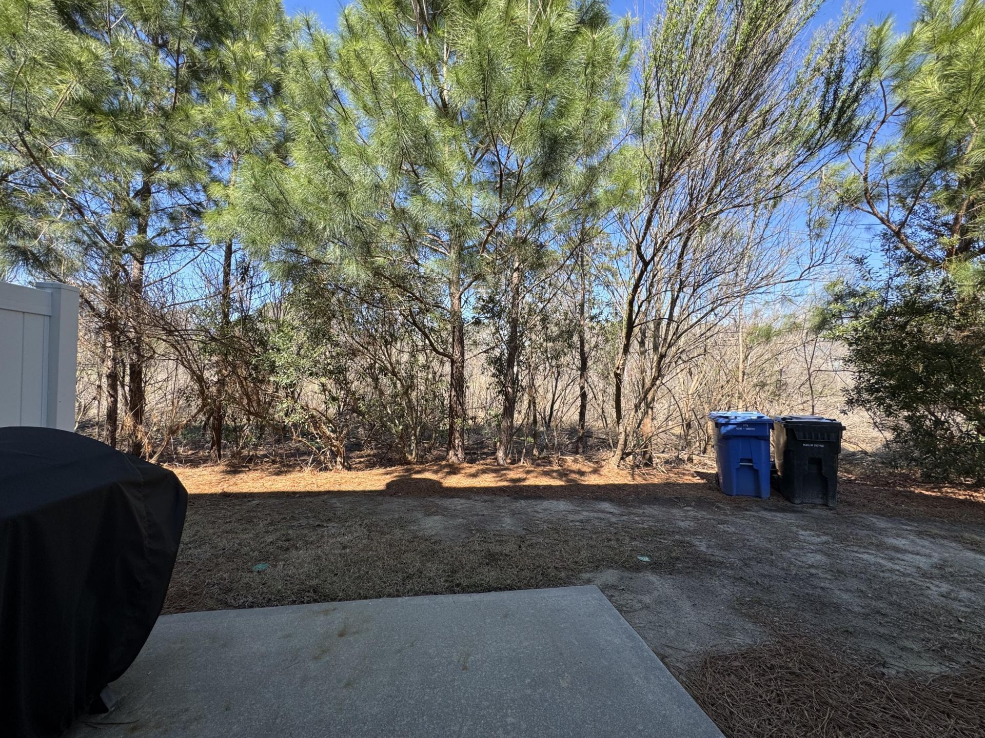 8754 Pasture Court Photo 20