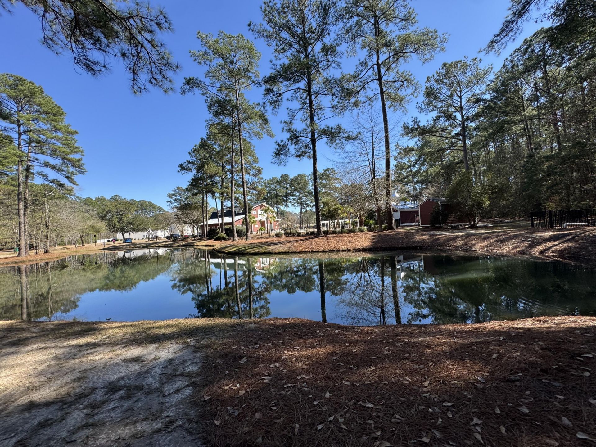 8754 Pasture Court Photo 31