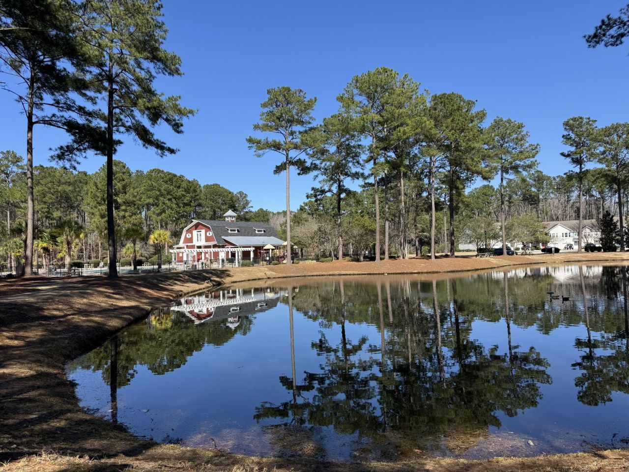 8754 Pasture Court Photo 44