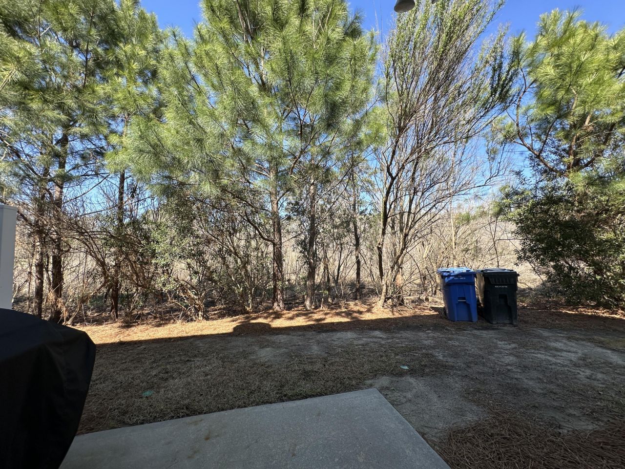 8754 Pasture Court Photo 9