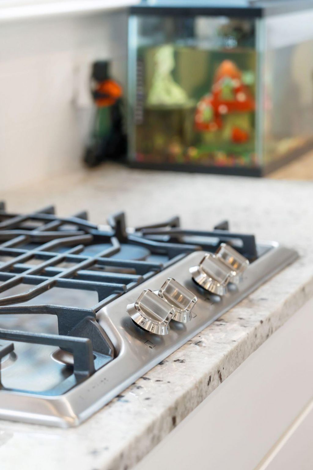 1581 Fort Palmetto Circle Photo 11