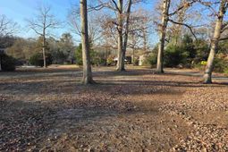 Forest Drive  photo 4