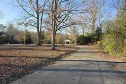 Forest Drive  photo 4