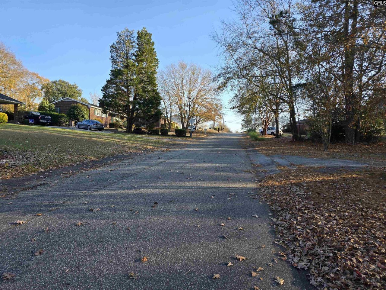 Forest Drive  Photo 4