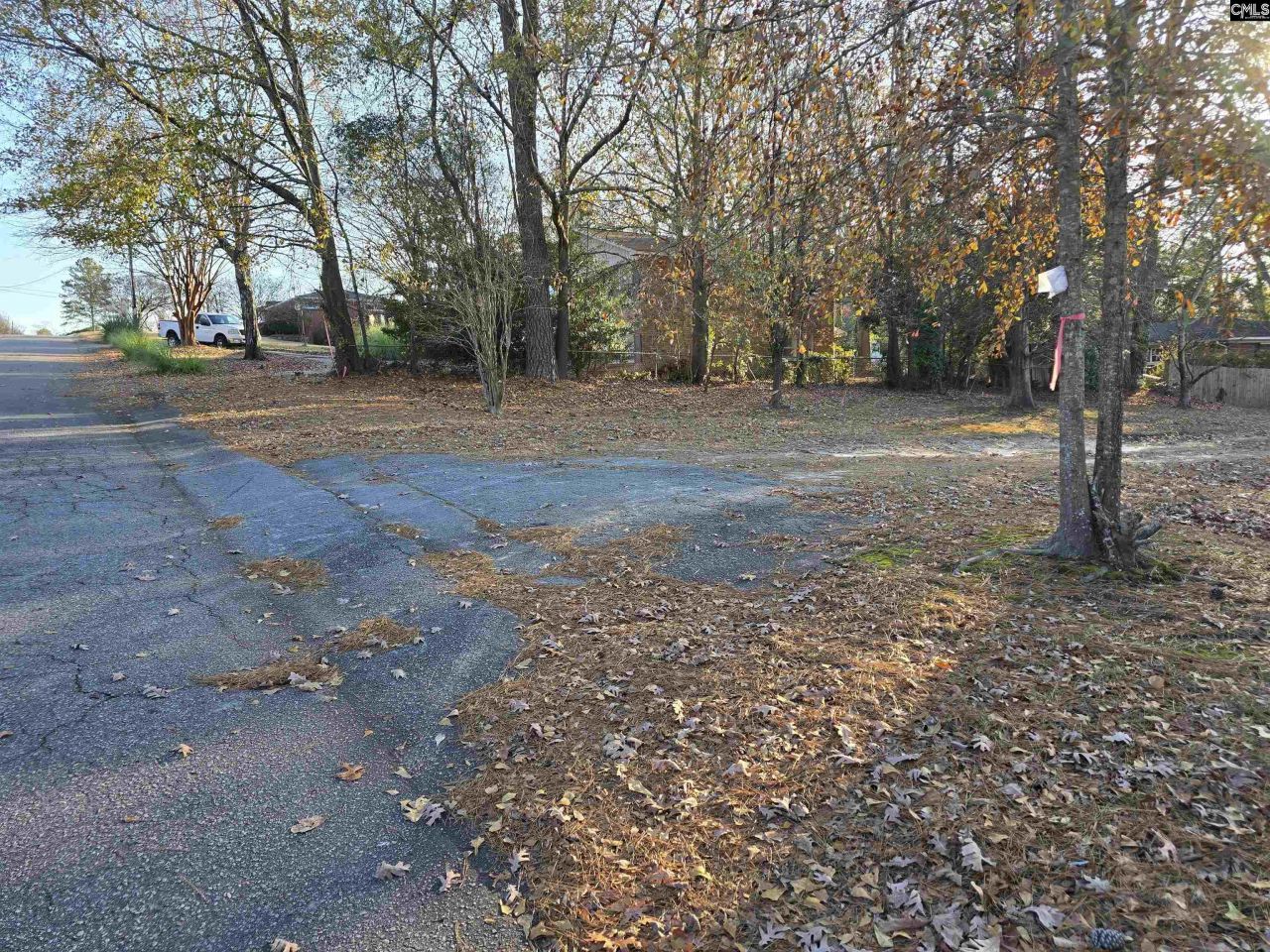 Forest Drive  Photo 5