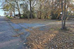 Forest Drive  photo 4