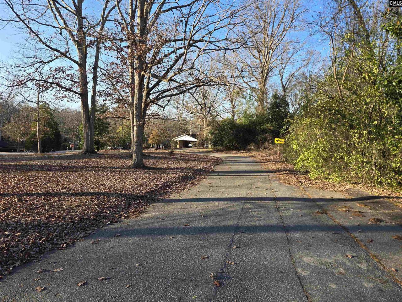 Forest Drive  Photo 6