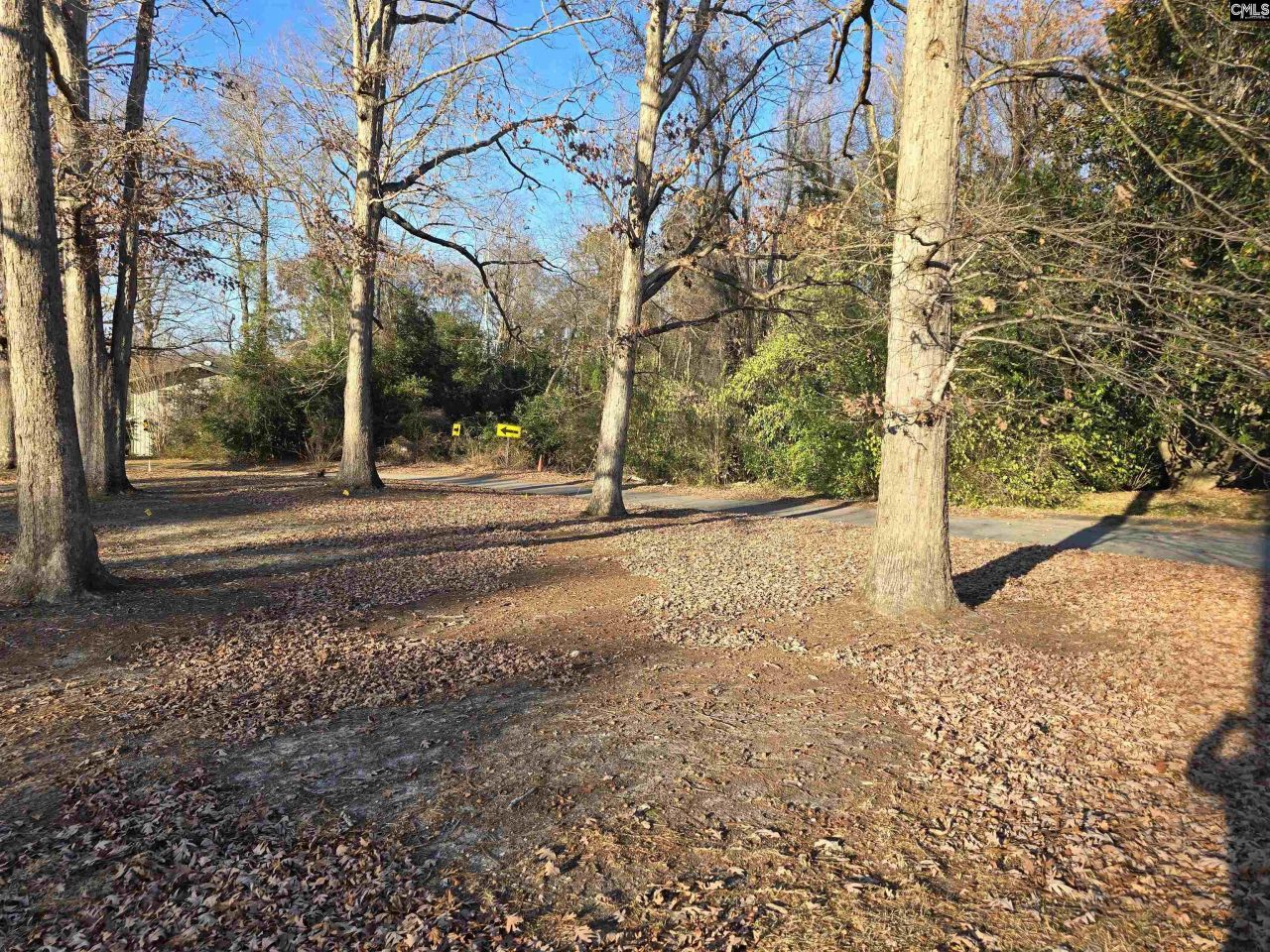 Forest Drive  Photo 8