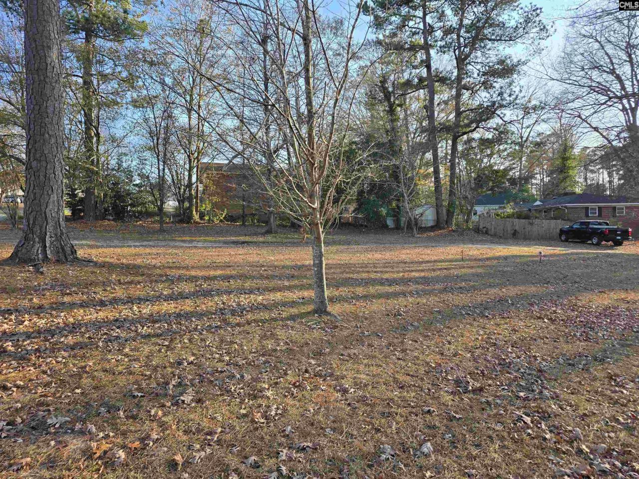 Forest Drive  Photo 9