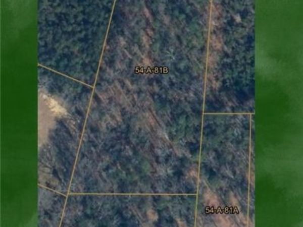 0 0 Ladysmith (Route 639) Road, Ladysmith, VA 22580