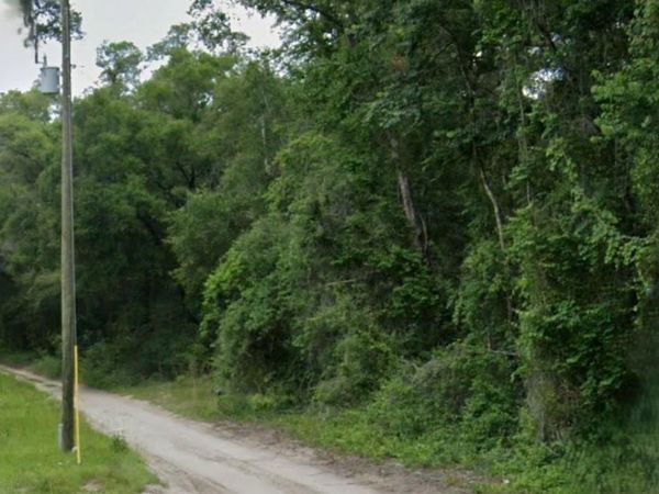 NE 162ND PLACE, CITRA, FL 32113