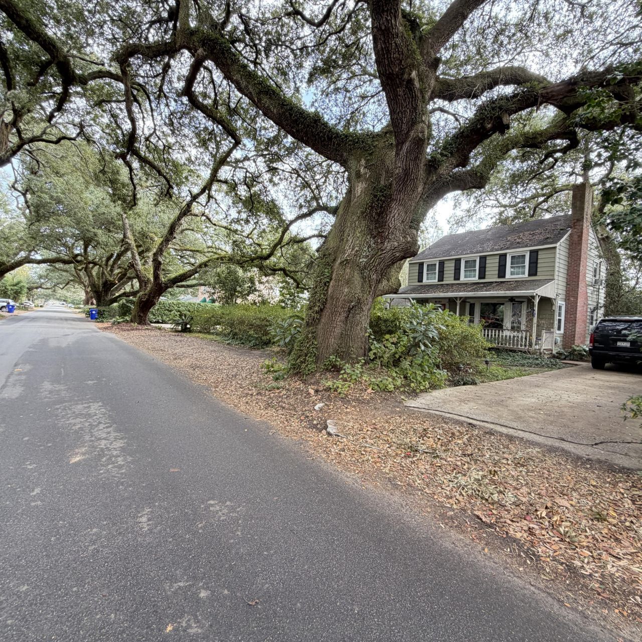 2121 Wappoo Drive Photo 3