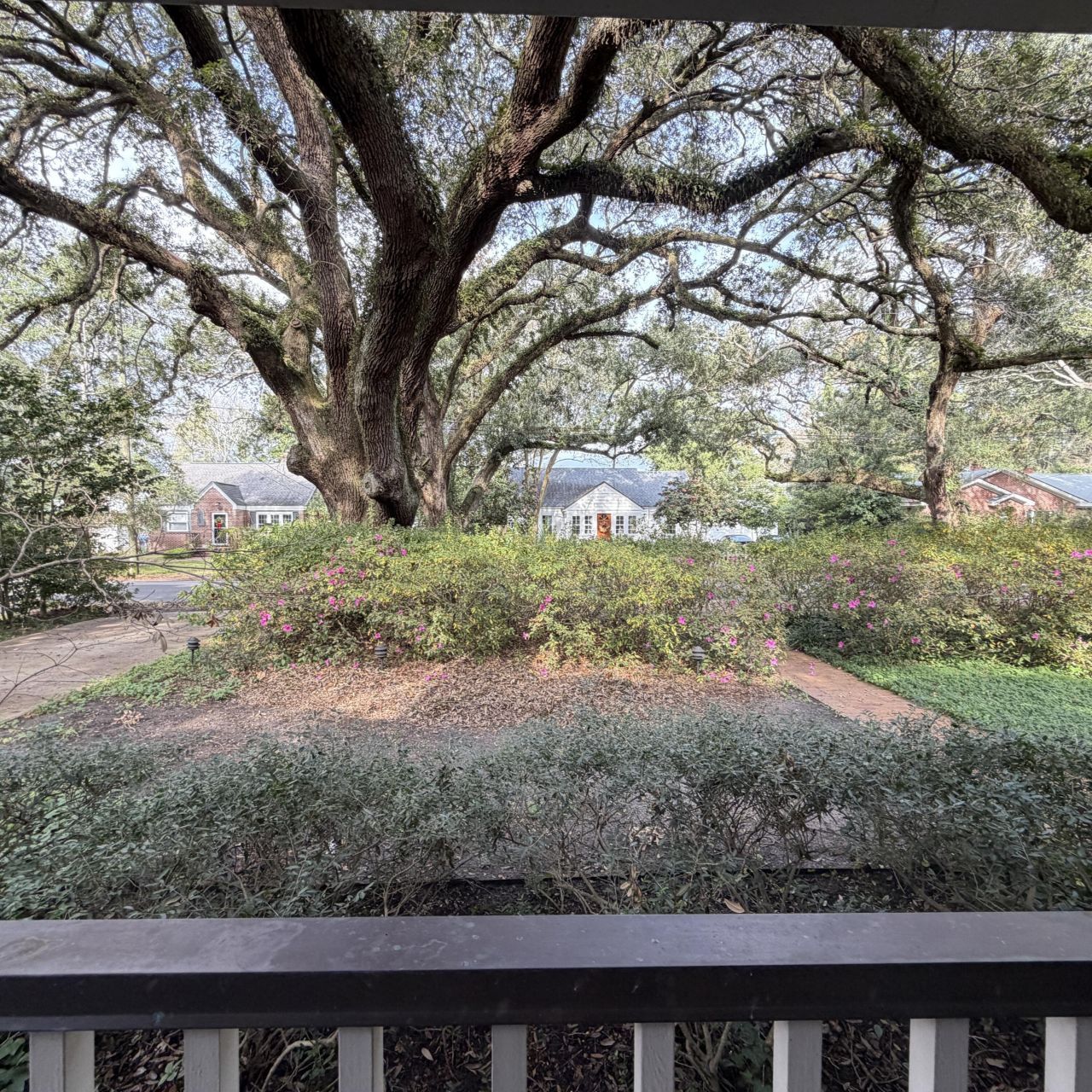 2121 Wappoo Drive Photo 4