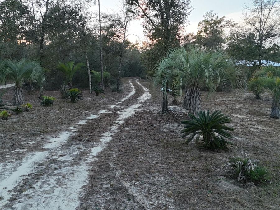Property Image 8