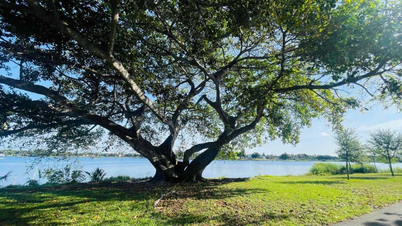 2102 Lake Osborne Drive, Unit 15, Lake Worth Beach, FL 33461 Photo