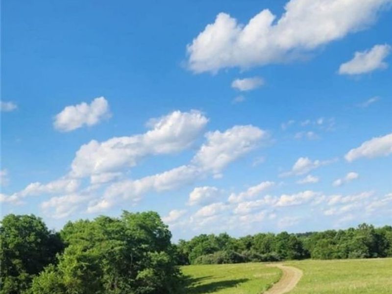 1393 and 1405 State Route 13 SE, Crooksville, OH 43731 Photo 4