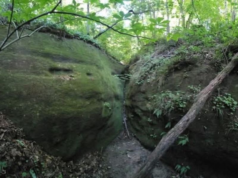 1393 and 1405 State Route 13 SE, Crooksville, OH 43731 Photo 6