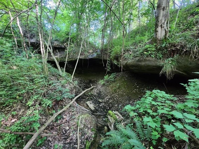 1393 and 1405 State Route 13 SE, Crooksville, OH 43731 Photo 7