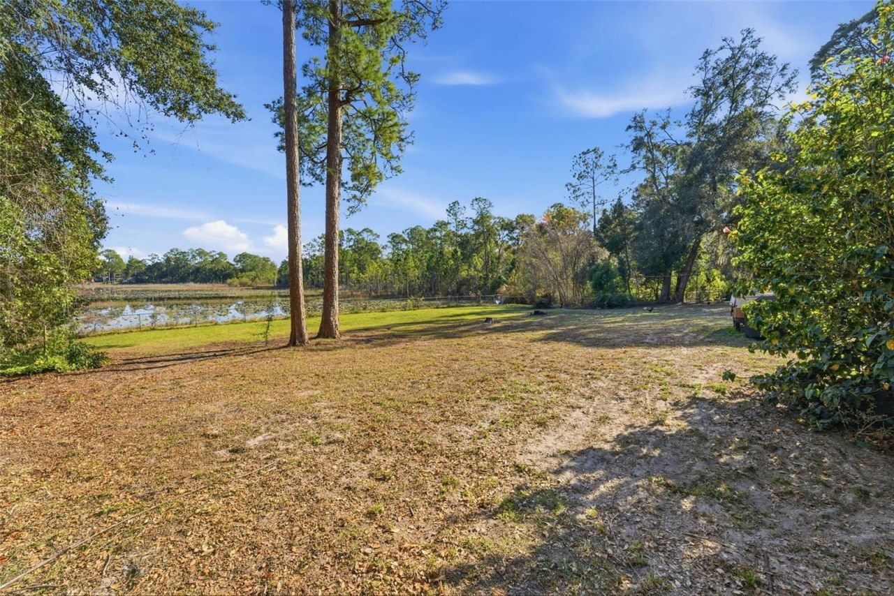 26310 Fishermans Road, Paisley, FL 32767 Photo