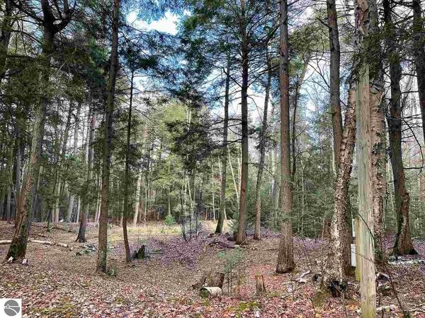 East Side Drive, Beaver Island, MI 00000