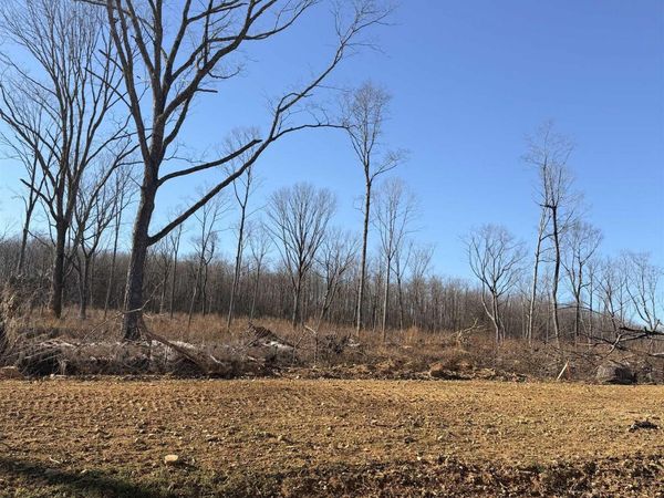 Lot 9 County Road 641, Mentone, AL 35984
