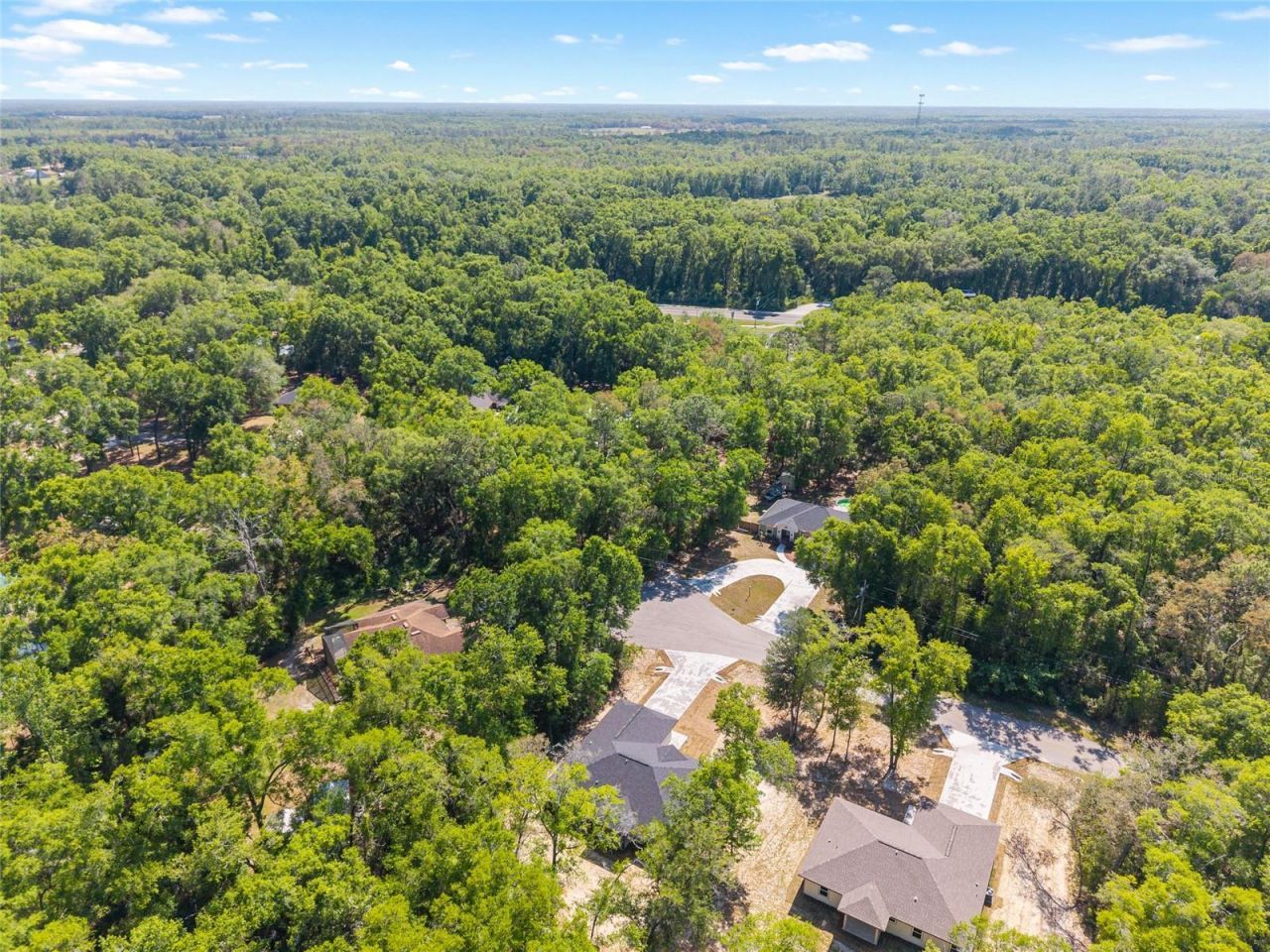 316 SW Caboose Drive, Fort White, FL 32038 Photo