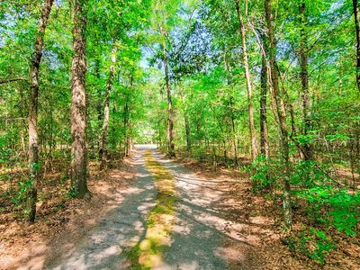 328 Sandy Springs Circle, Walterboro, SC 29488