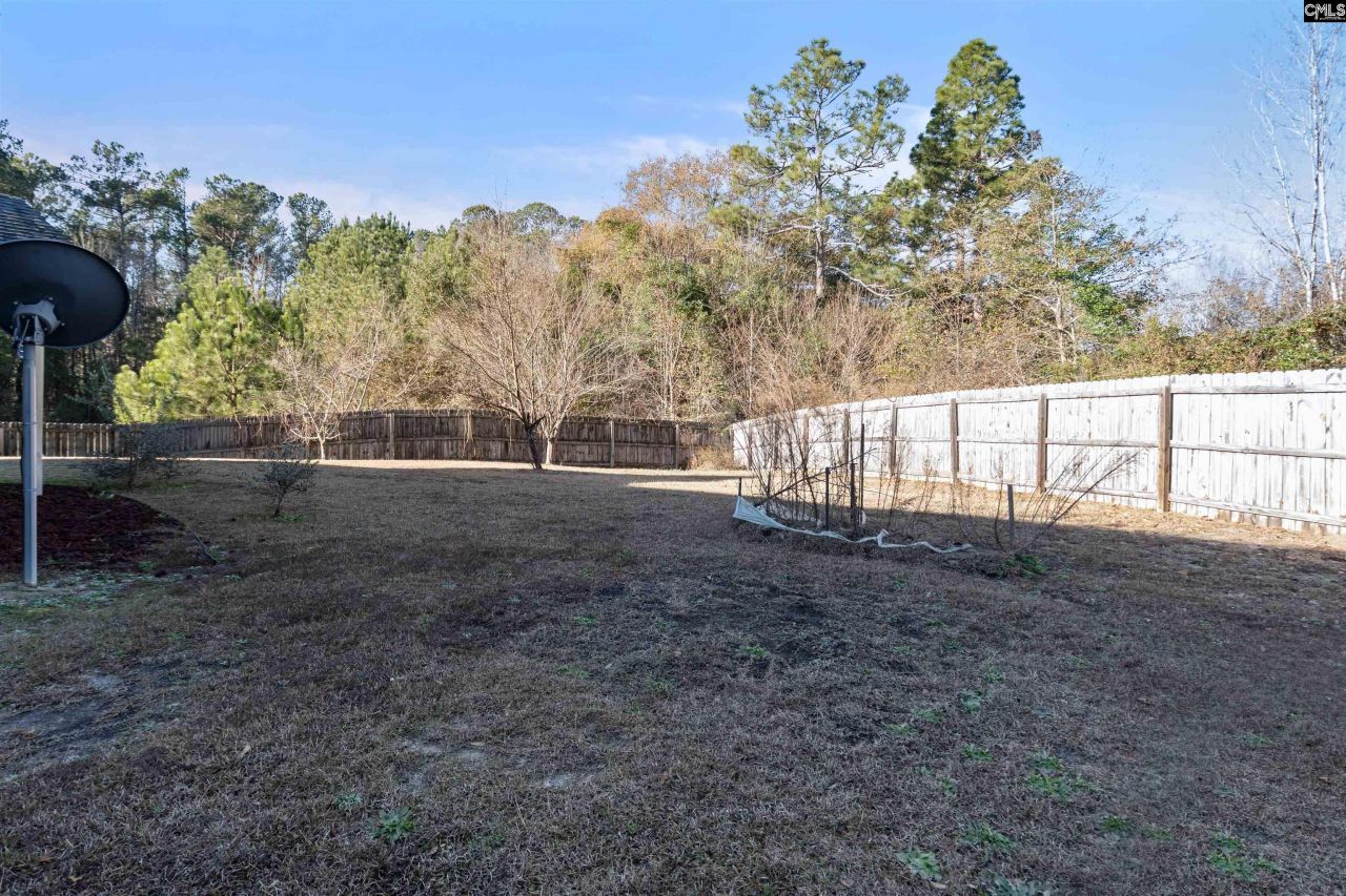 466 Emanuel Creek Drive Photo 22