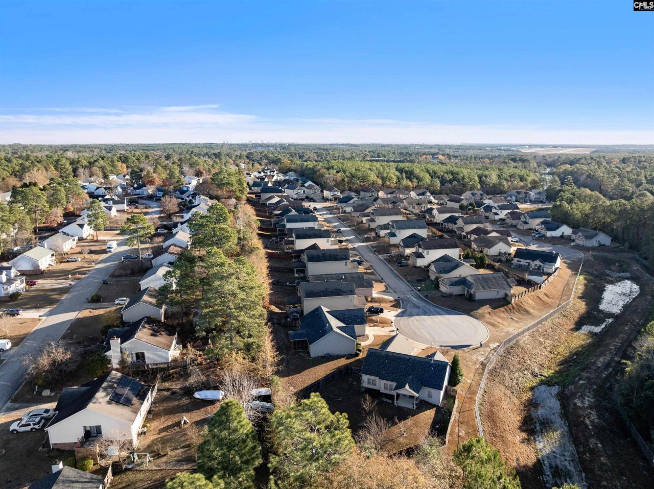 466 Emanuel Creek Drive Photo 25